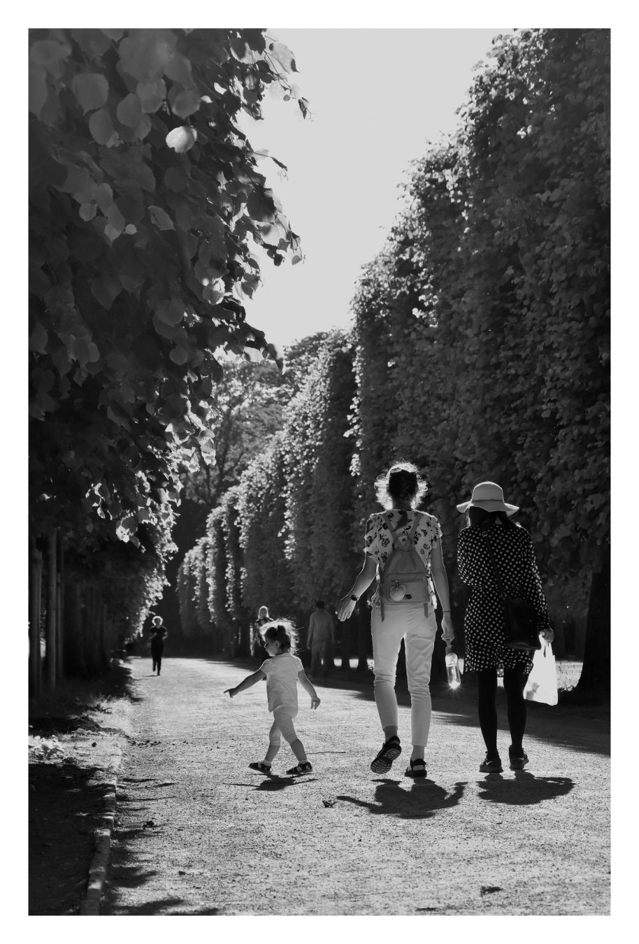 Ein Sommertag im Park. Menschen gehen in der Sonne spazieren.