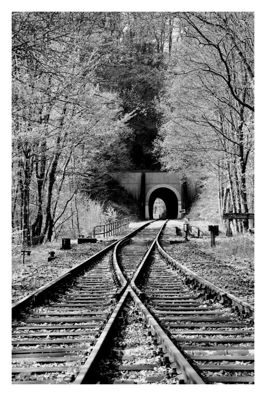 In einem Wald. Eisenbahnschienen die in einen kurzen Tunnel führen.