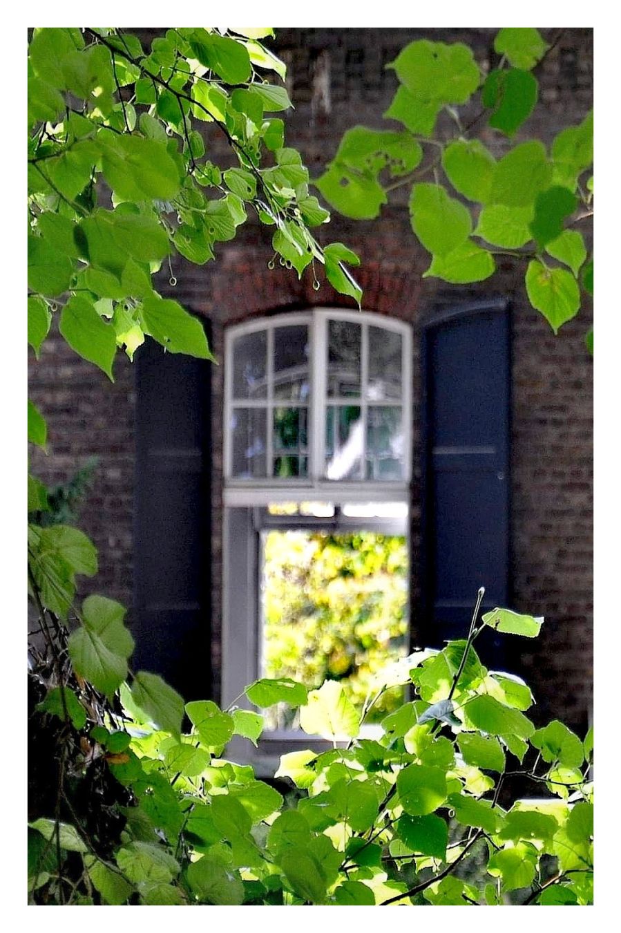 Grüne Blätter umrahmen ein offenes Fenster.