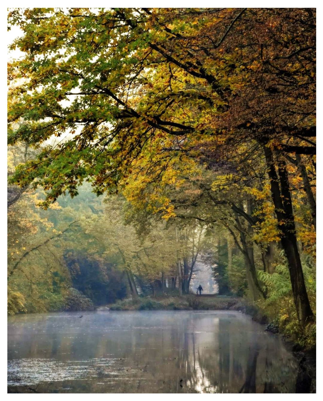 Morgens im Park. Leichter Nebel. Die Blätter verfärben sich langsam. Ein kleiner See ist im Vordergrund zu sehen.